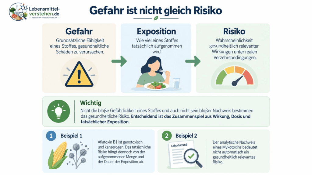 Infografik „Gefahr ist nicht gleich Risiko“ – erklärt den Unterschied zwischen Gefährlichkeit, Exposition und gesundheitlichem Risiko am Beispiel von Mykotoxinen.