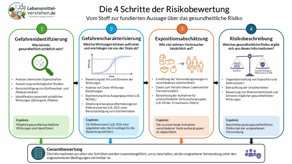 Infografik zu den vier Schritten der gesundheitlichen Risikobewertung: Gefahrenidentifizierung, Gefahrencharakterisierung, Expositionsabschätzung und Risikobeschreibung.